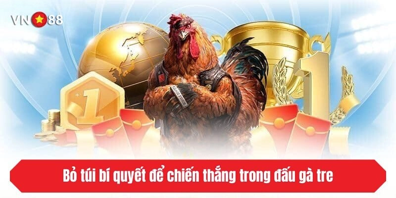 Bỏ túi bí quyết để chiến thắng trong đấu gà tre